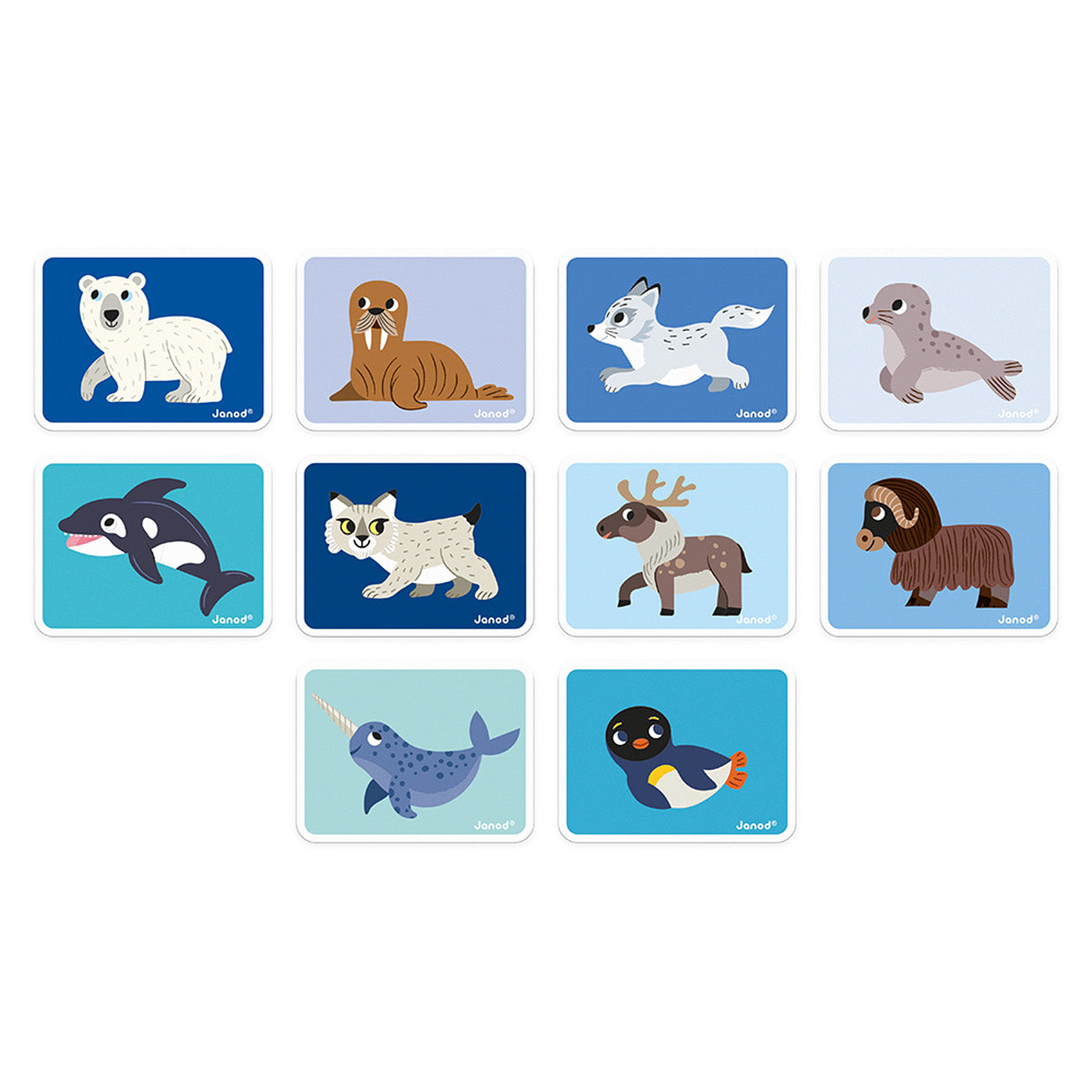 Magnetibook - Pooldieren, Janod