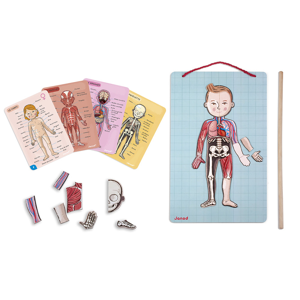 Janod Spel - Het Menselijk Lichaam, Janod