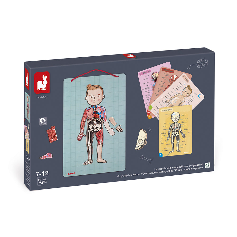 Janod Spel - Het Menselijk Lichaam, Janod
