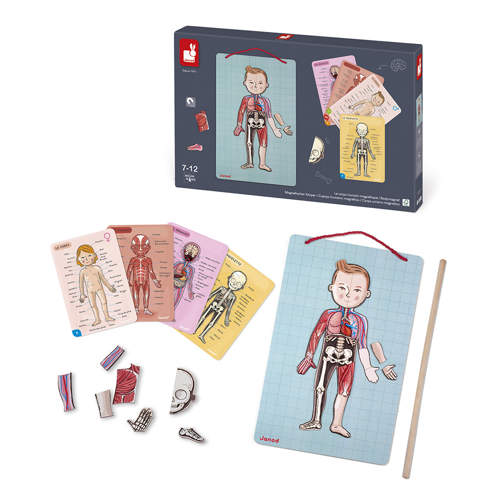 Janod Spel - Het Menselijk Lichaam, Janod