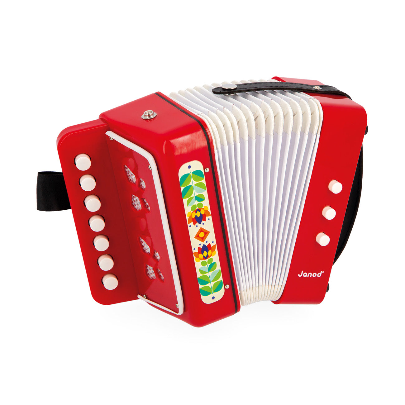 Janod Gioia - Accordeon, Janod