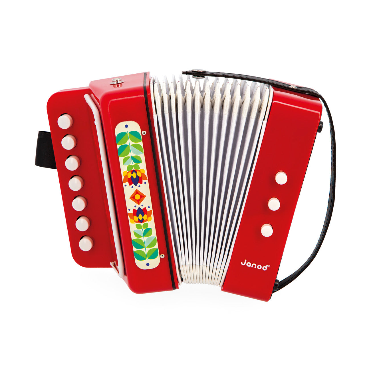 Janod Gioia - Accordeon, Janod