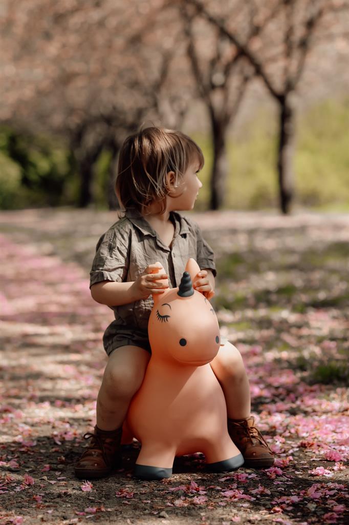 Springdier - Eenhoorn Luna, Find That Hippo
