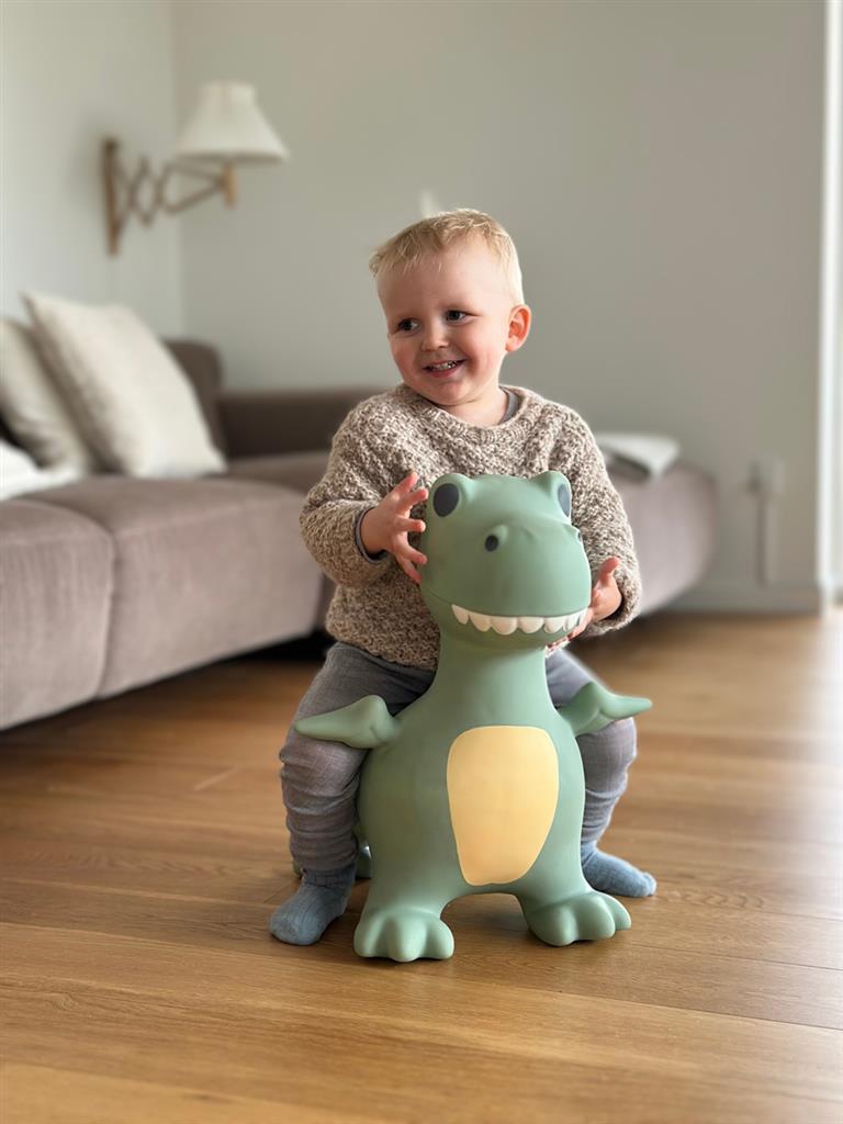 Springdier - Dino Dexter, Find That Hippo