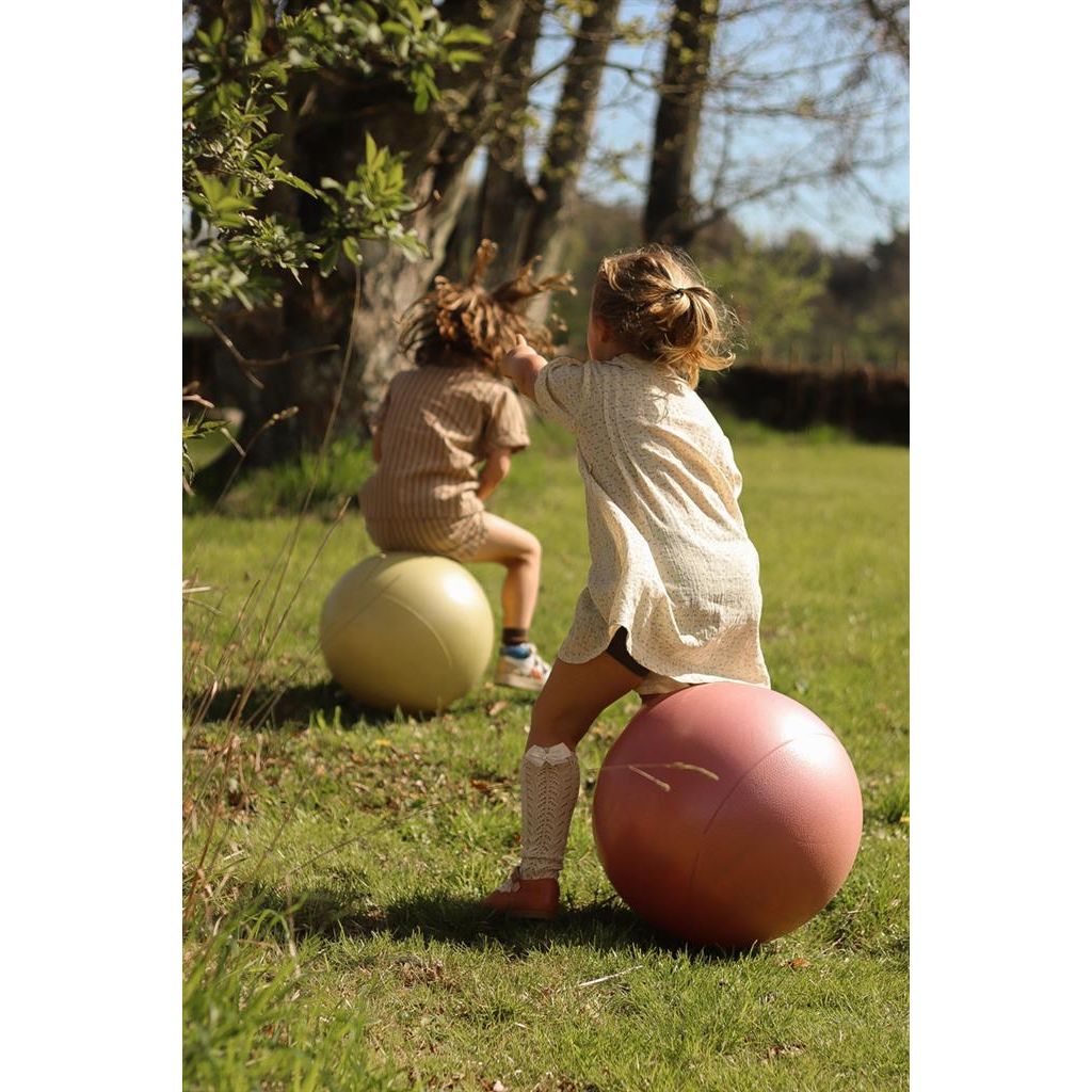 Springbal - Roze - 45cm, Find That Hippo