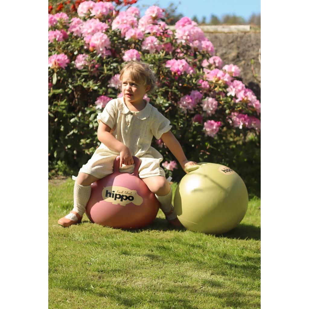 Springbal - Roze - 45cm, Find That Hippo