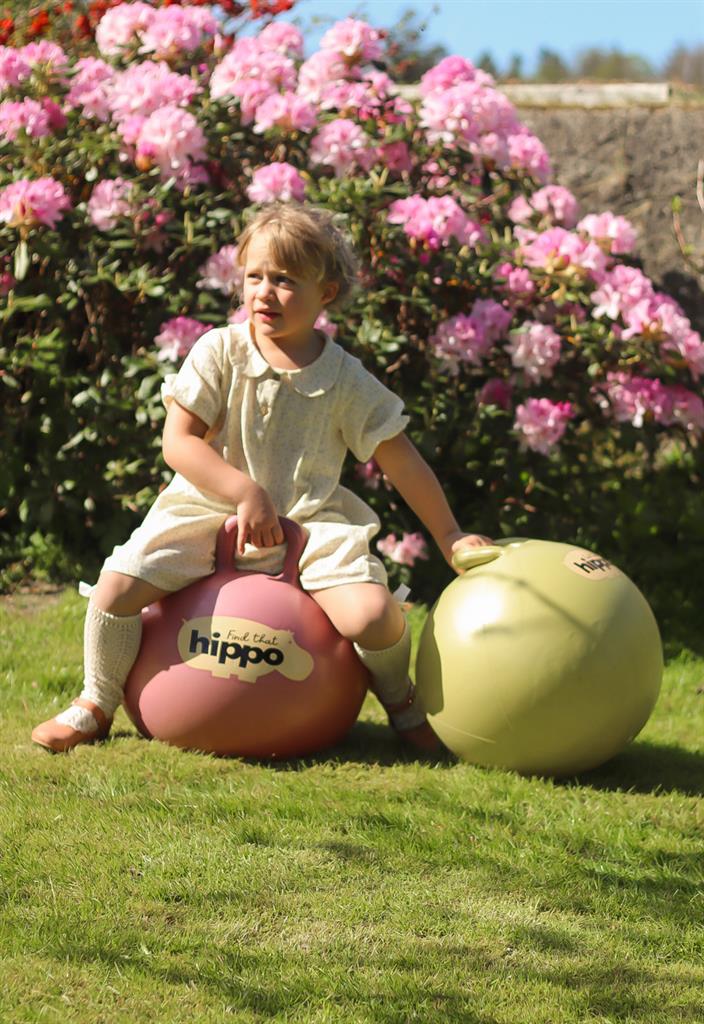 Springbal - Roze - 45cm, Find That Hippo