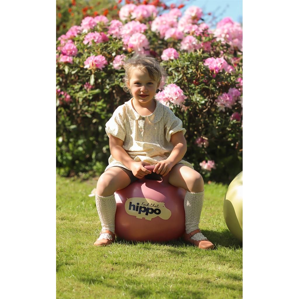 Springbal - Roze - 45cm, Find That Hippo