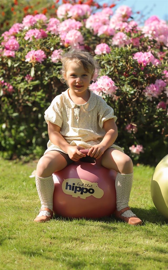 Springbal - Roze - 45cm, Find That Hippo
