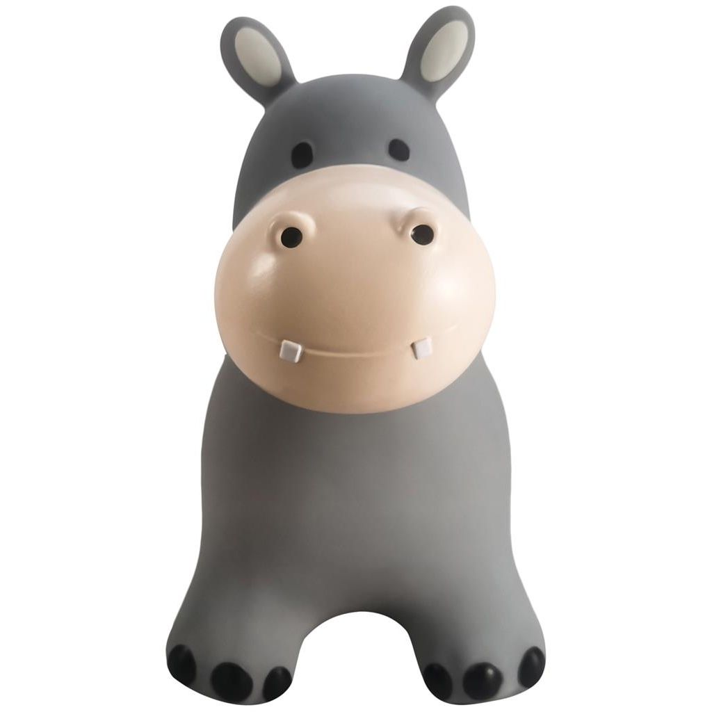 Springdier - Nijlpaard Holger, Find That Hippo