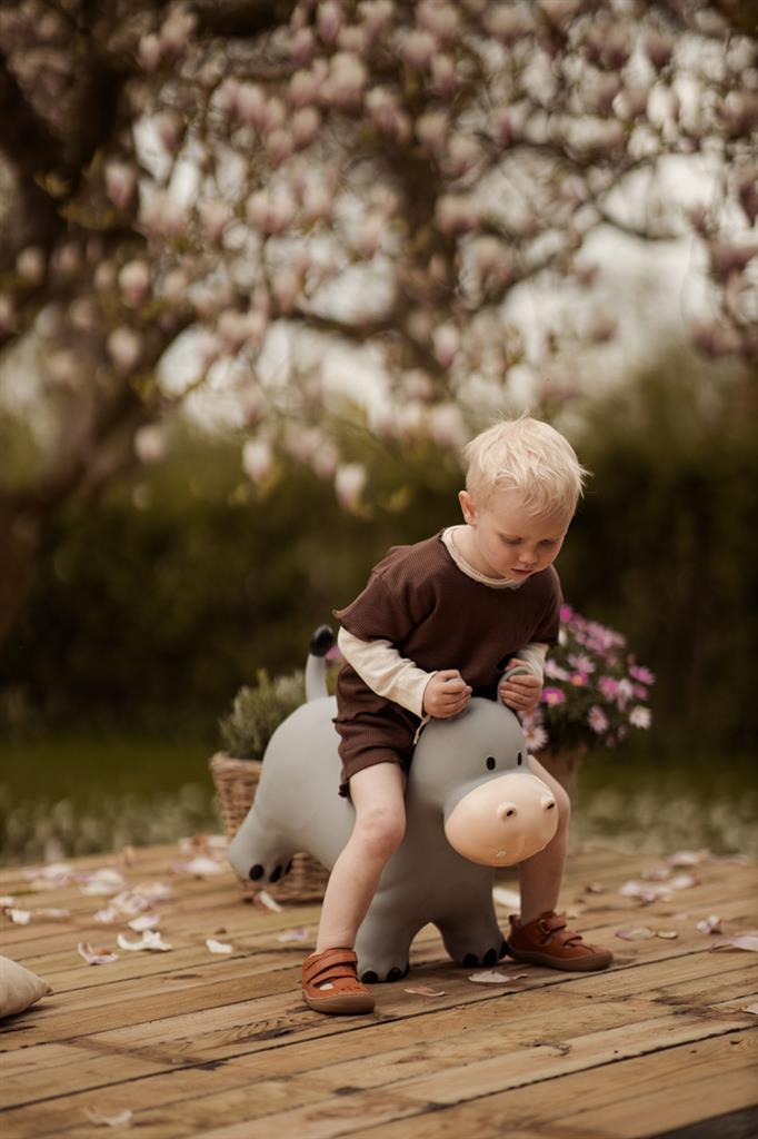 Springdier - Nijlpaard Holger, Find That Hippo