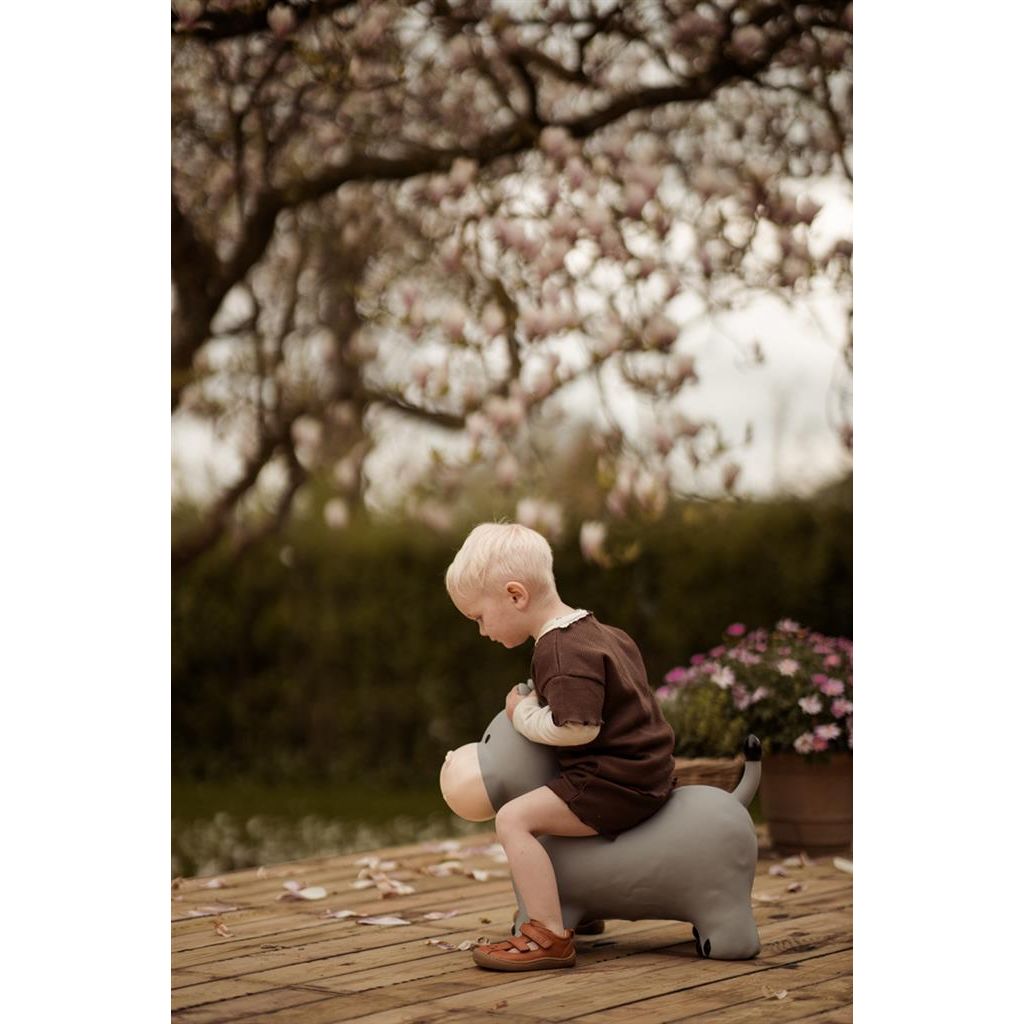 Springdier - Nijlpaard Holger, Find That Hippo