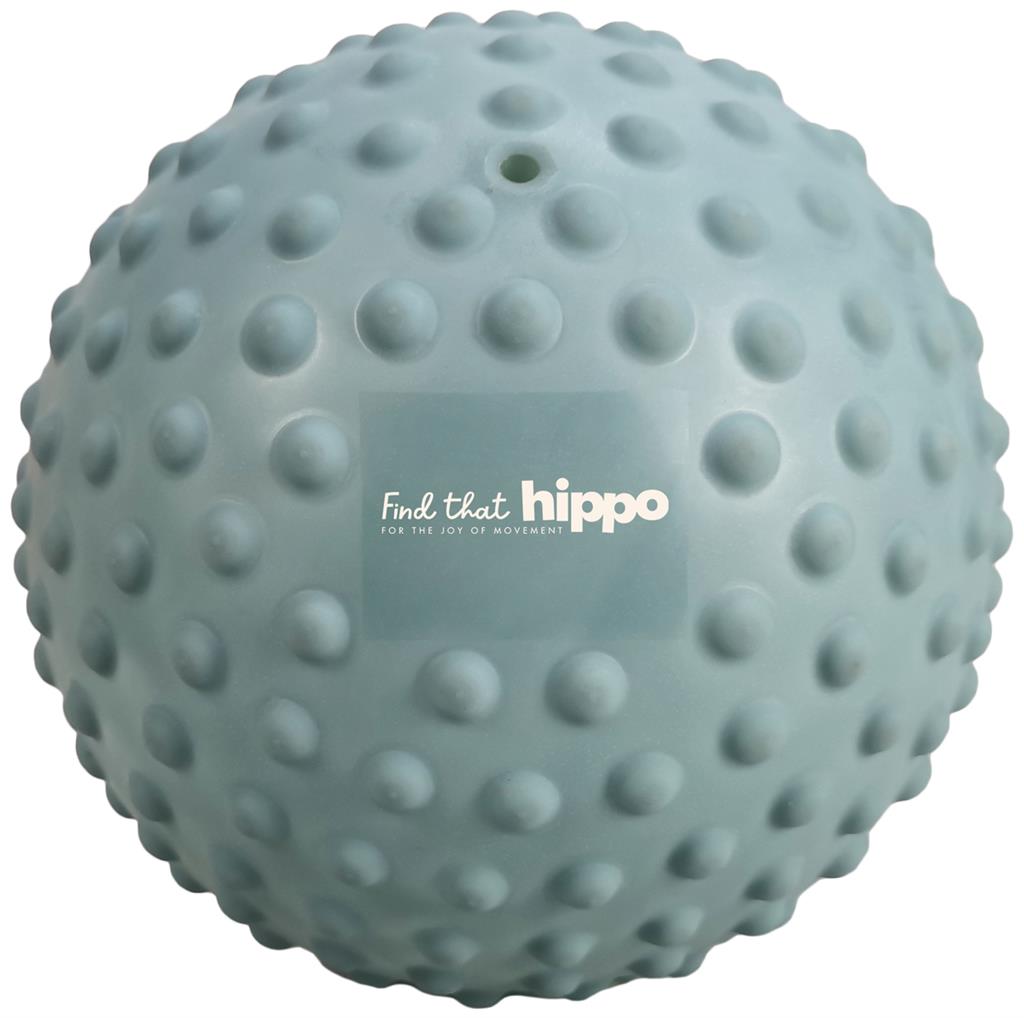 Sensory Ball Large - Loodblauw, Find That Hippo