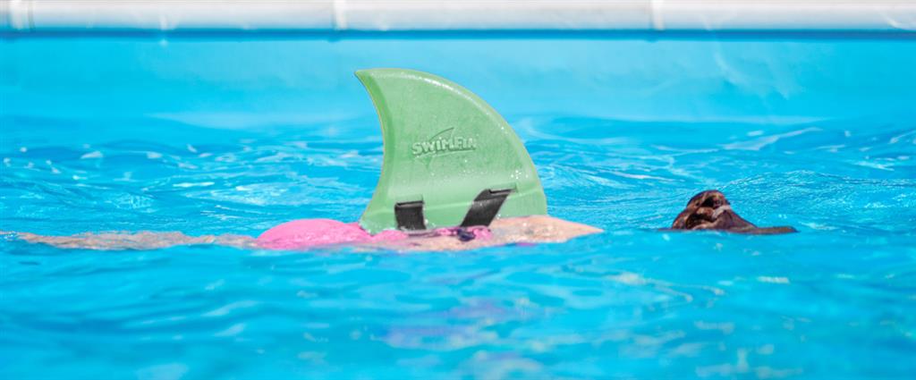 SwimFin - Haaienvin Munt, Swimfin