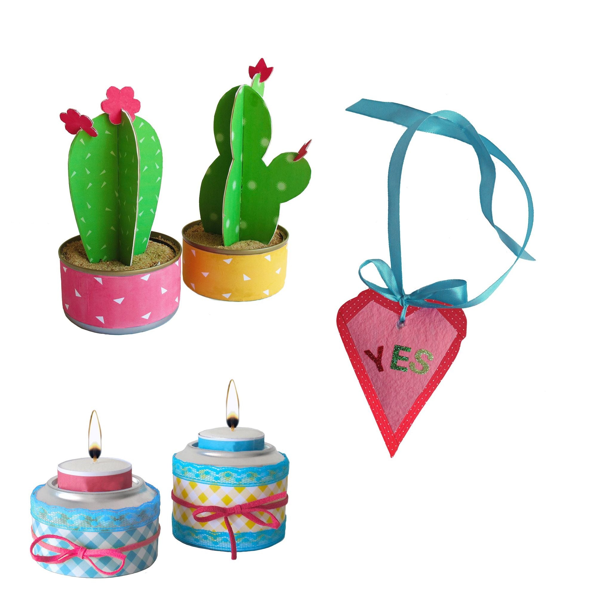 Cactus Love, Re-Cycle-Me