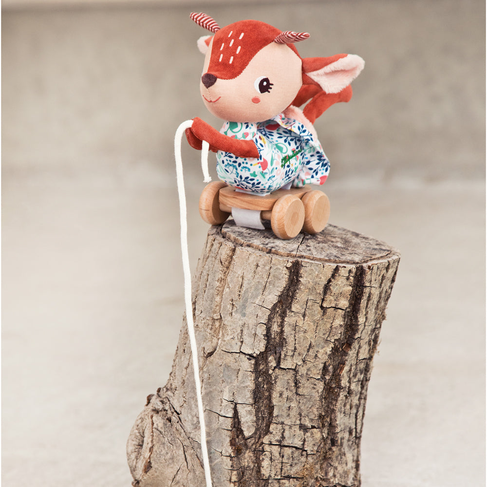 Trekknuffel Stella, Lilliputiens