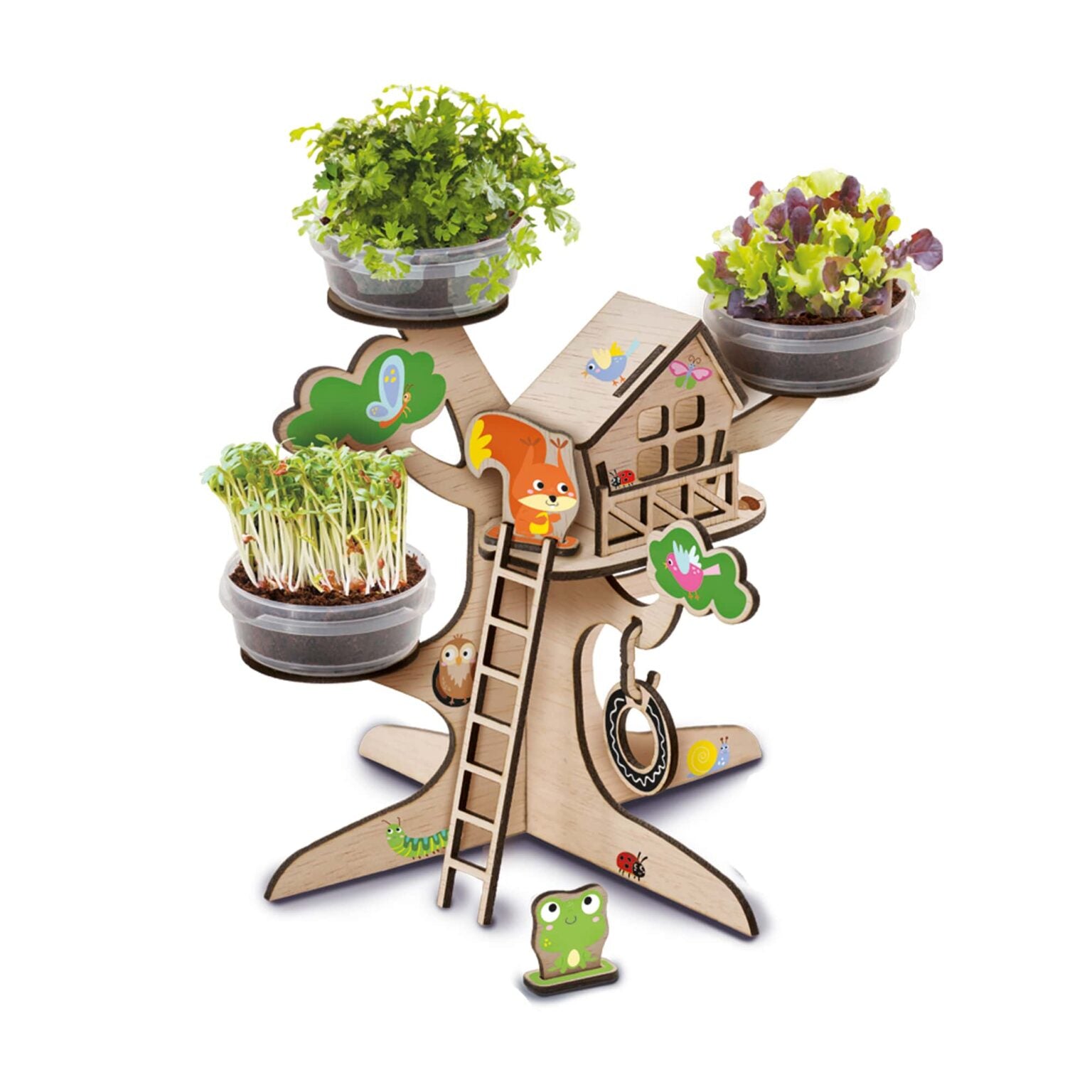 Boomhut tuin, SES