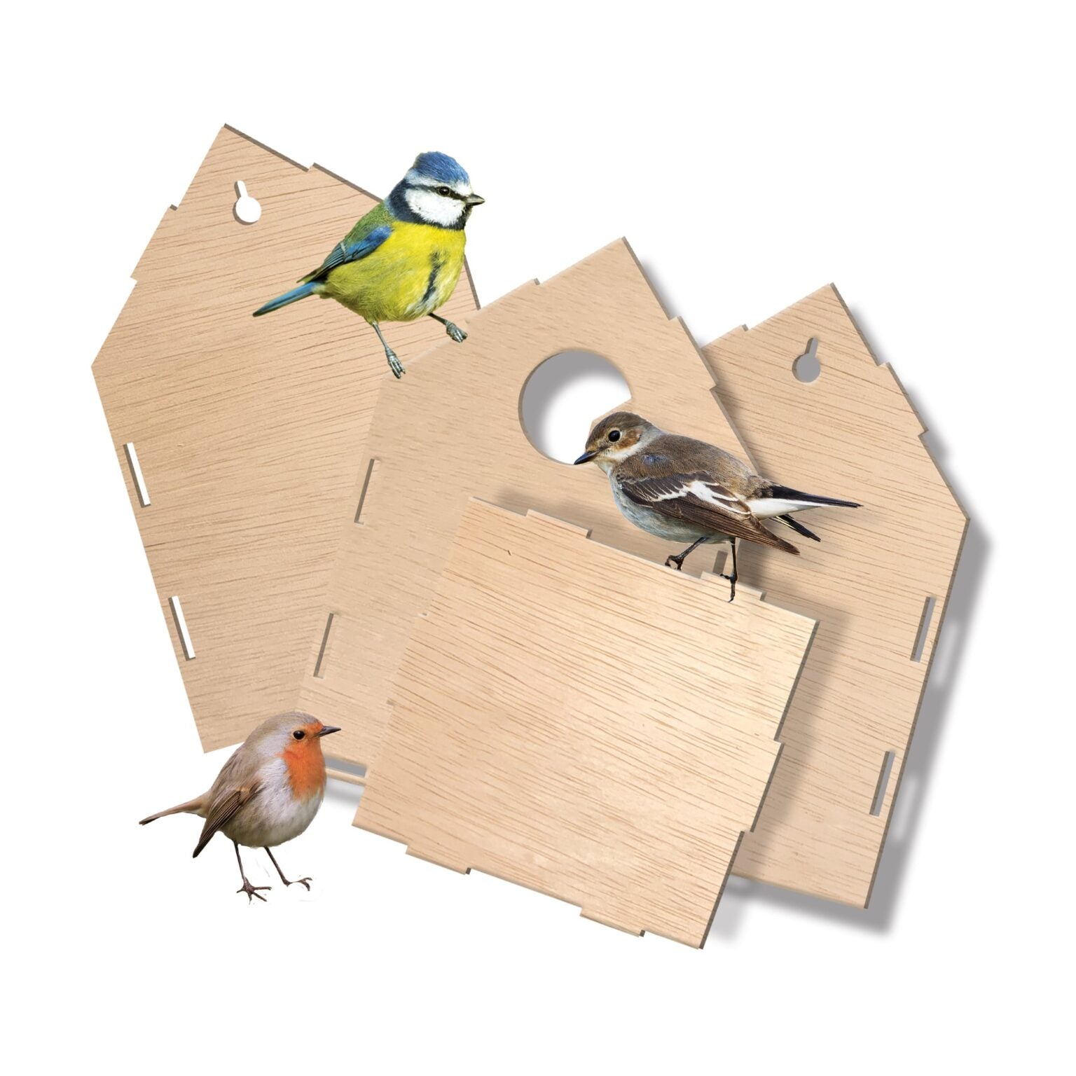 Vogelhuis, SES