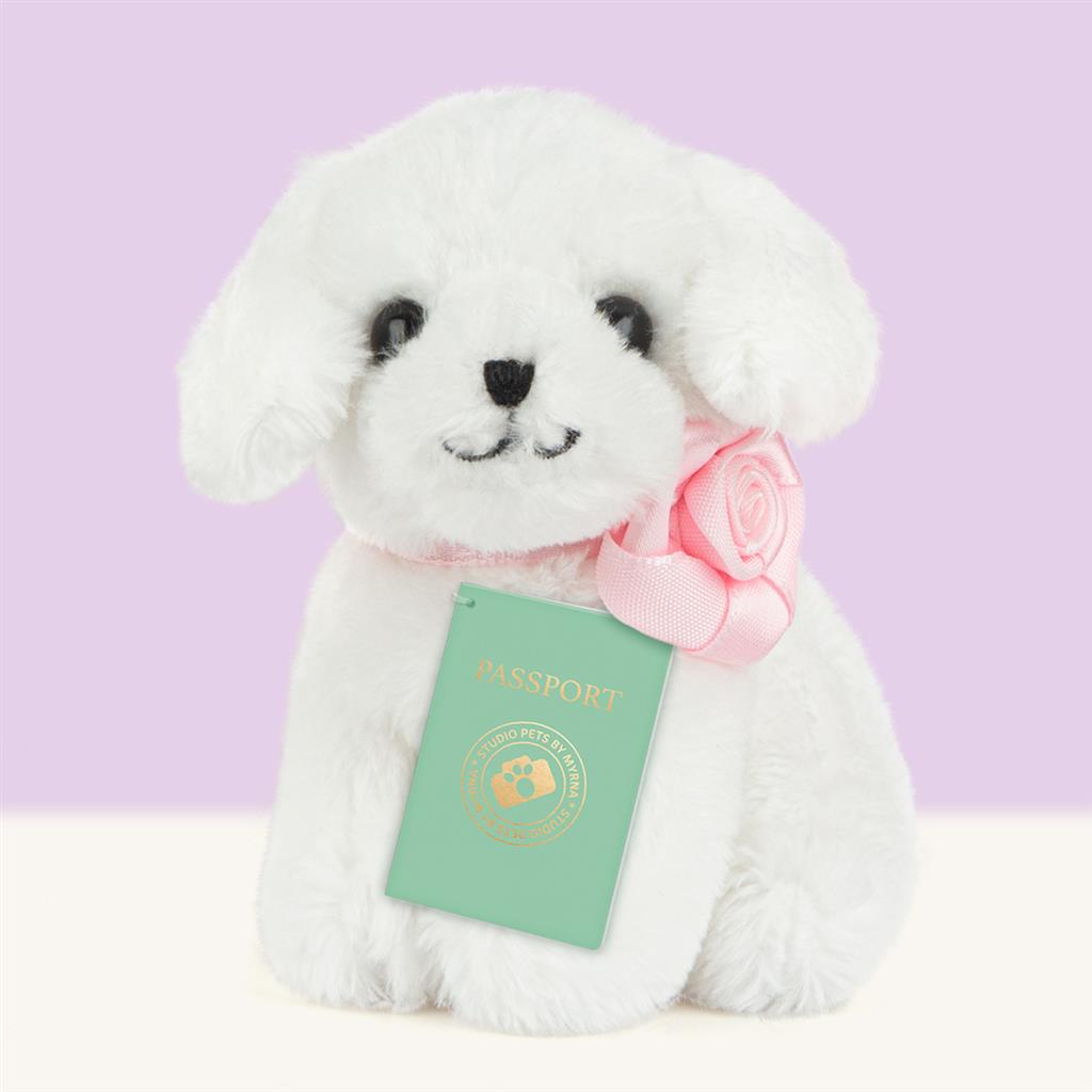 Puppy Maltezer, Studio Pets