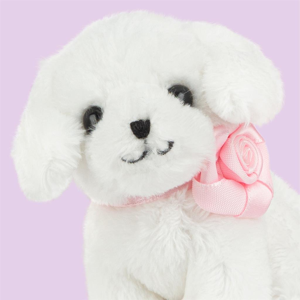Puppy Maltezer, Studio Pets
