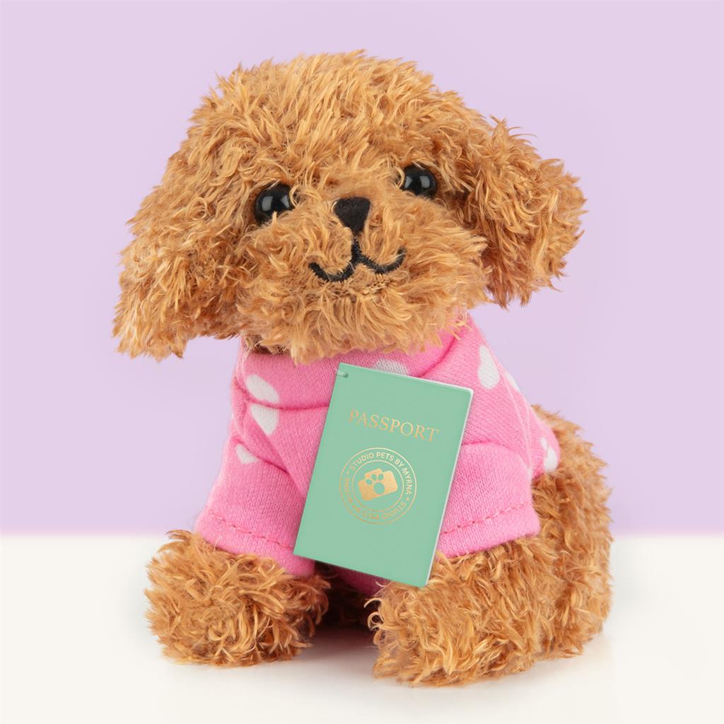 Puppy Poedel, Studio Pets