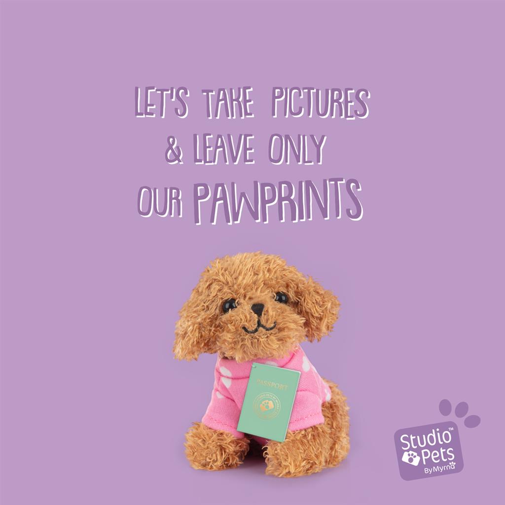 Puppy Poedel, Studio Pets