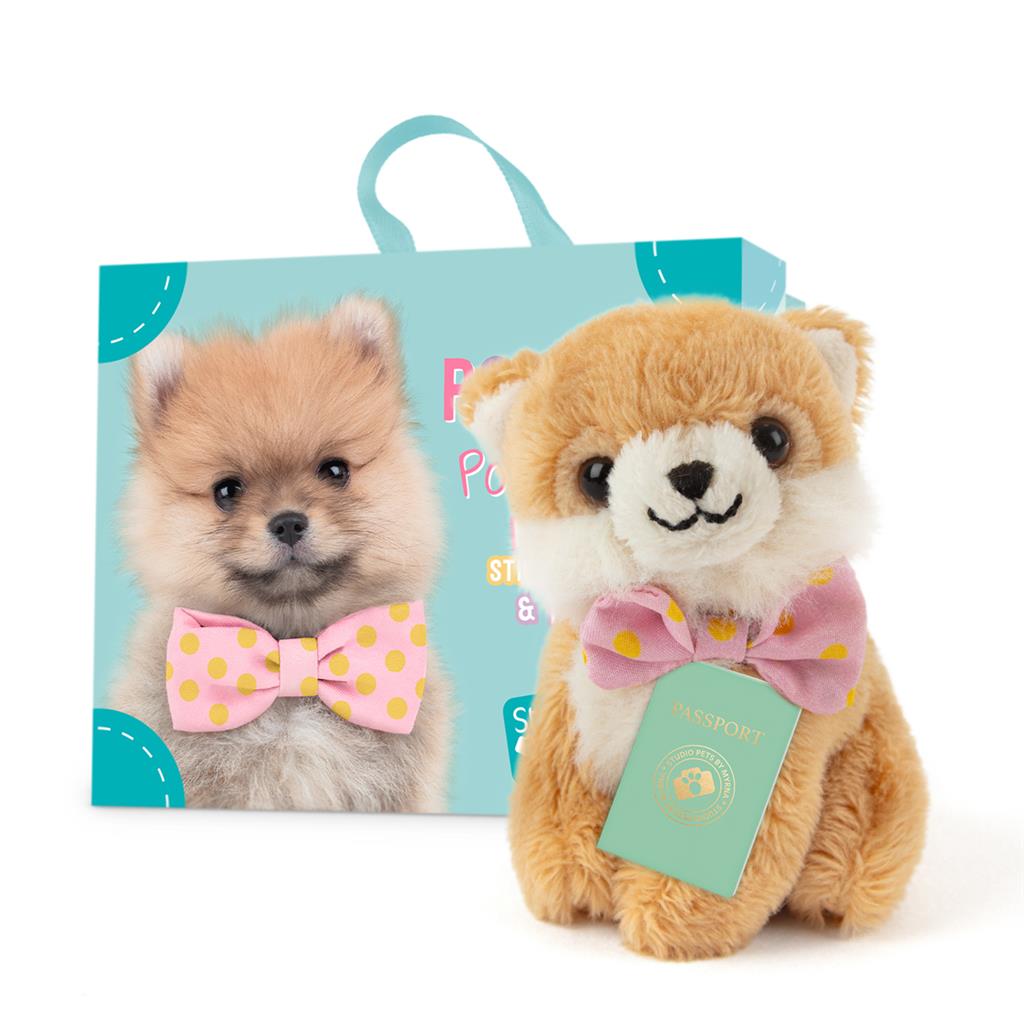 Puppy Pomeriaan, Studio Pets