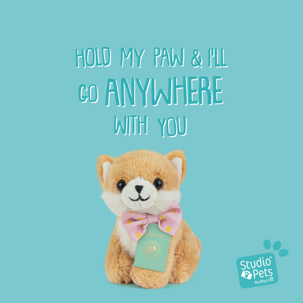Puppy Pomeriaan, Studio Pets