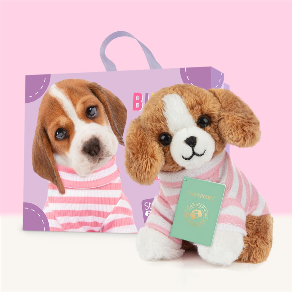 Puppy Beagle, Studio Pets