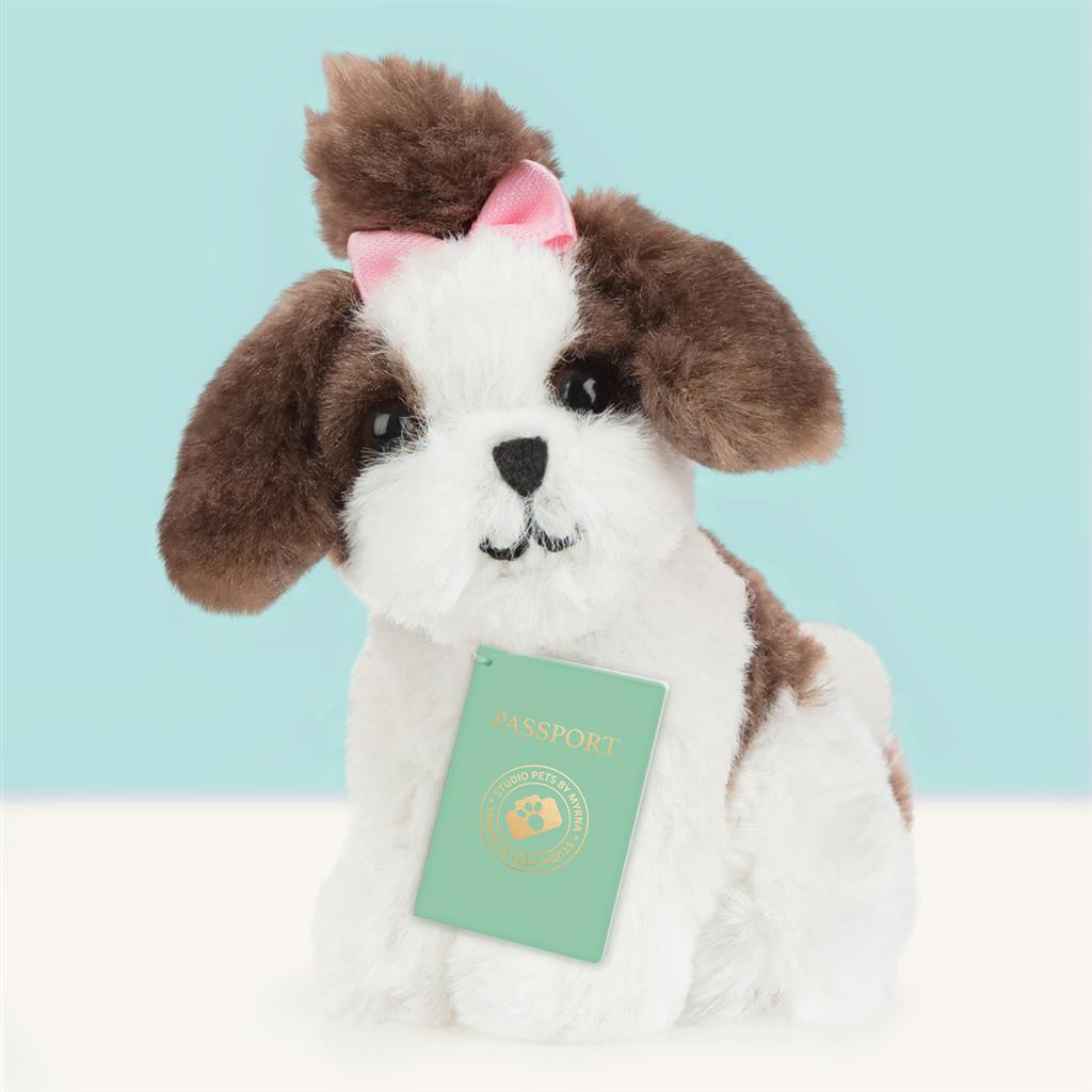 Puppy Shih Tzu, Studio Pets