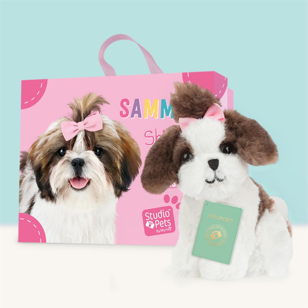 Puppy Shih Tzu, Studio Pets