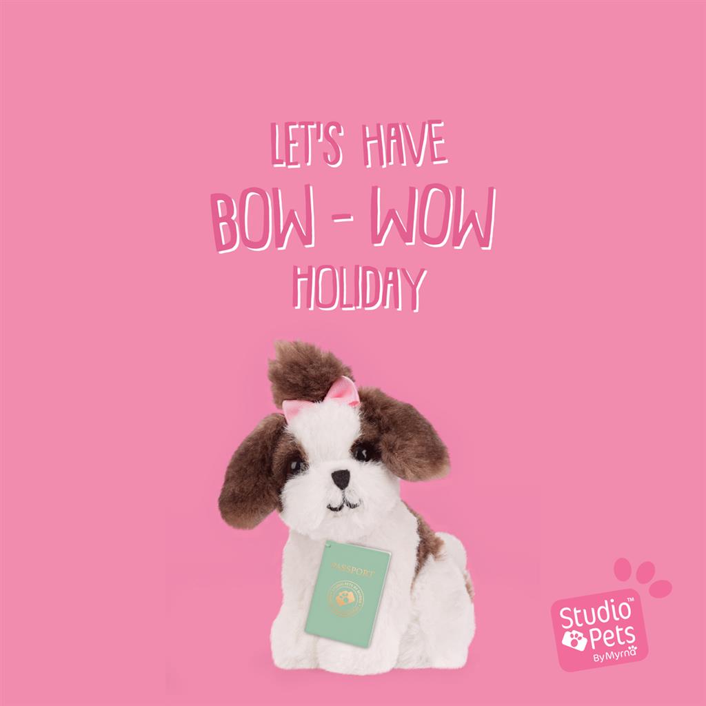 Puppy Shih Tzu, Studio Pets