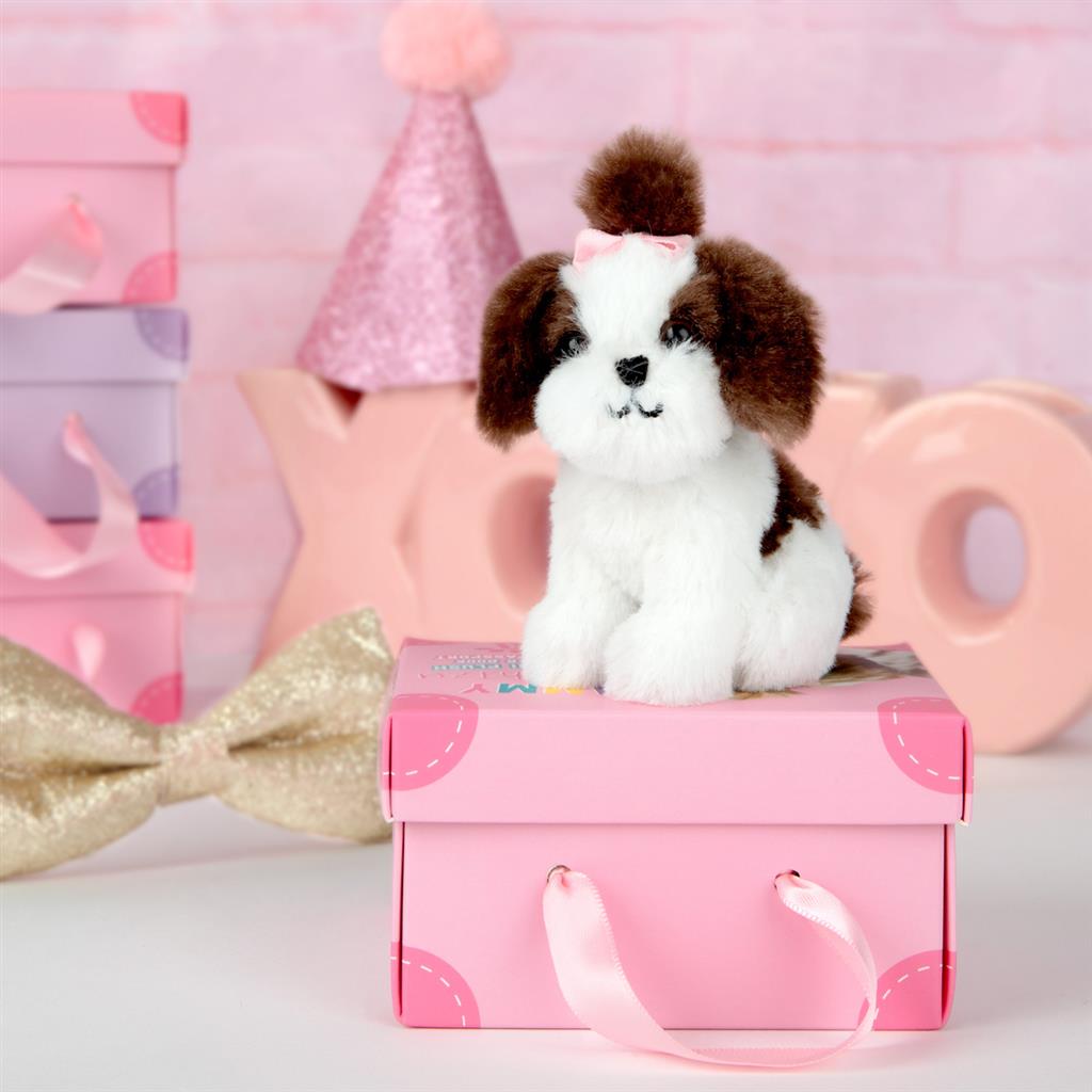 Puppy Shih Tzu, Studio Pets