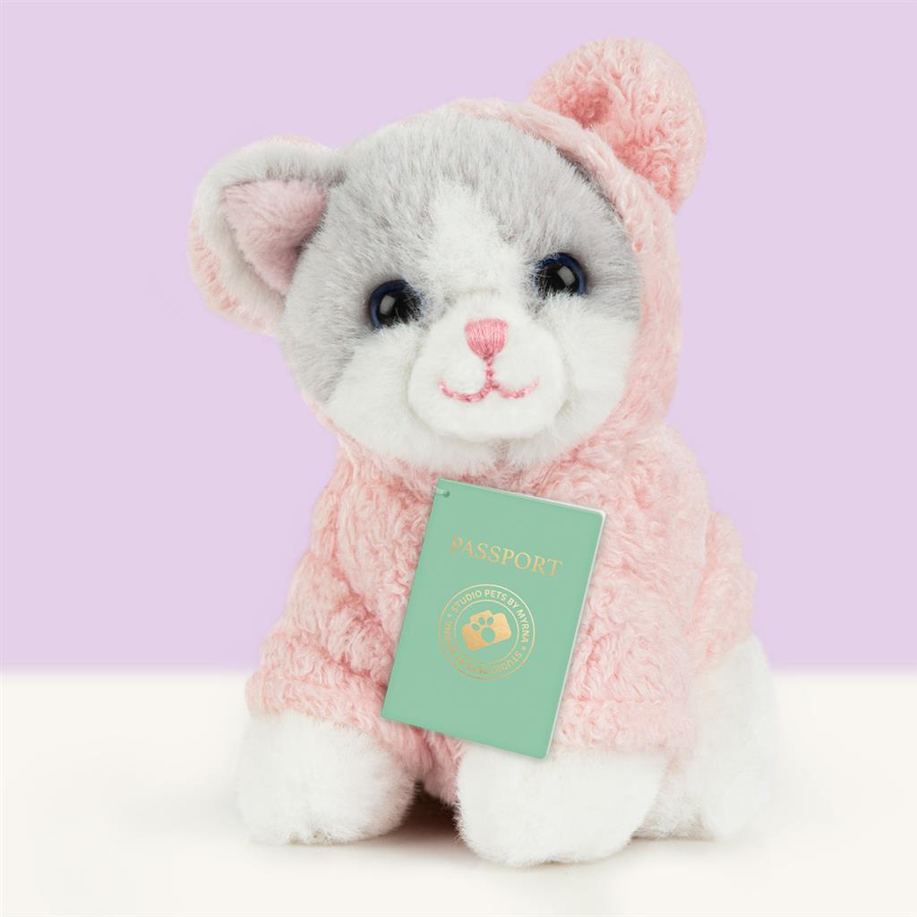 Kitten Ragdoll, Studio Pets