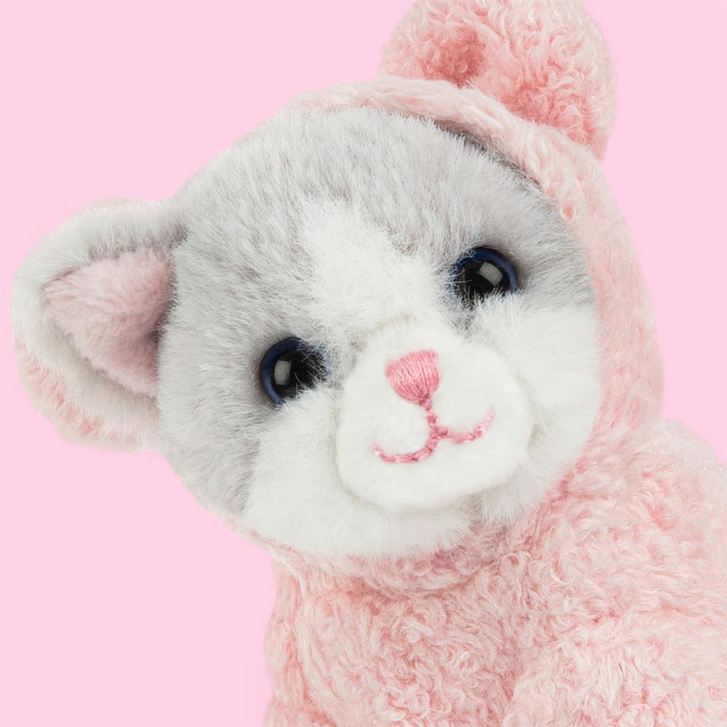 Kitten Ragdoll, Studio Pets