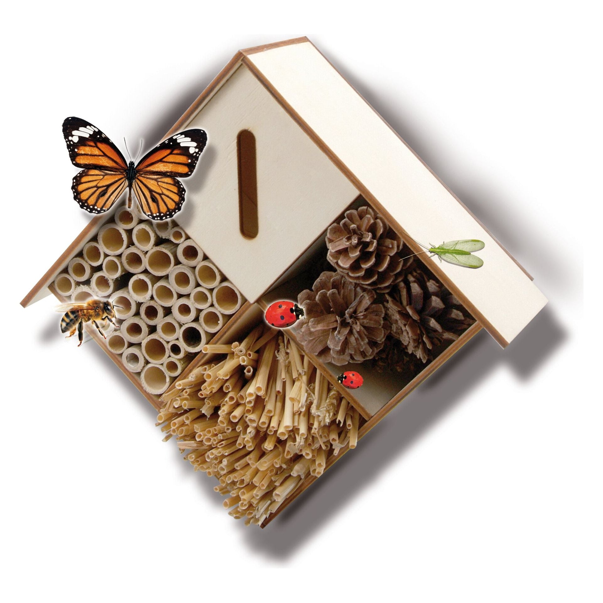 Insecten hotel, SES