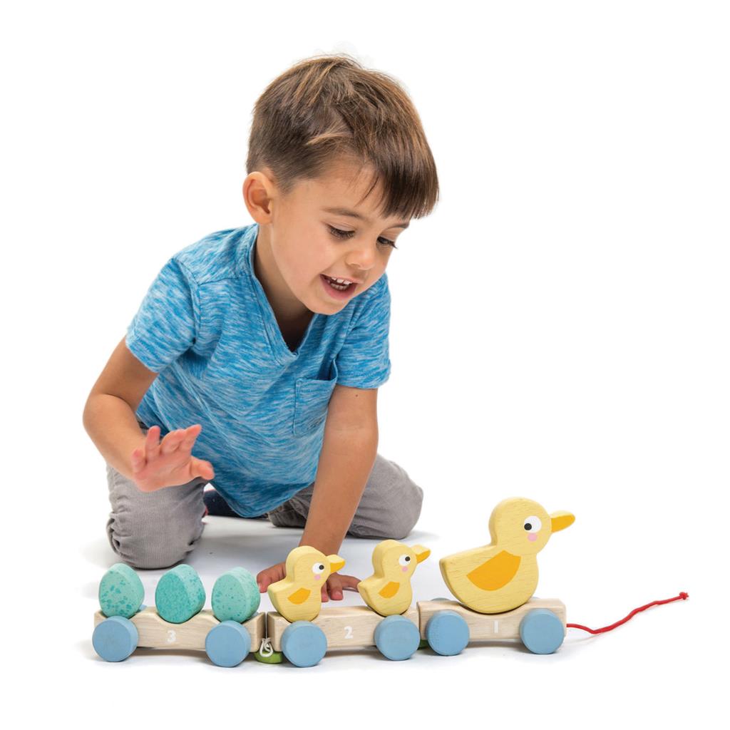 Trekfiguur Eendjes, Tender Leaf