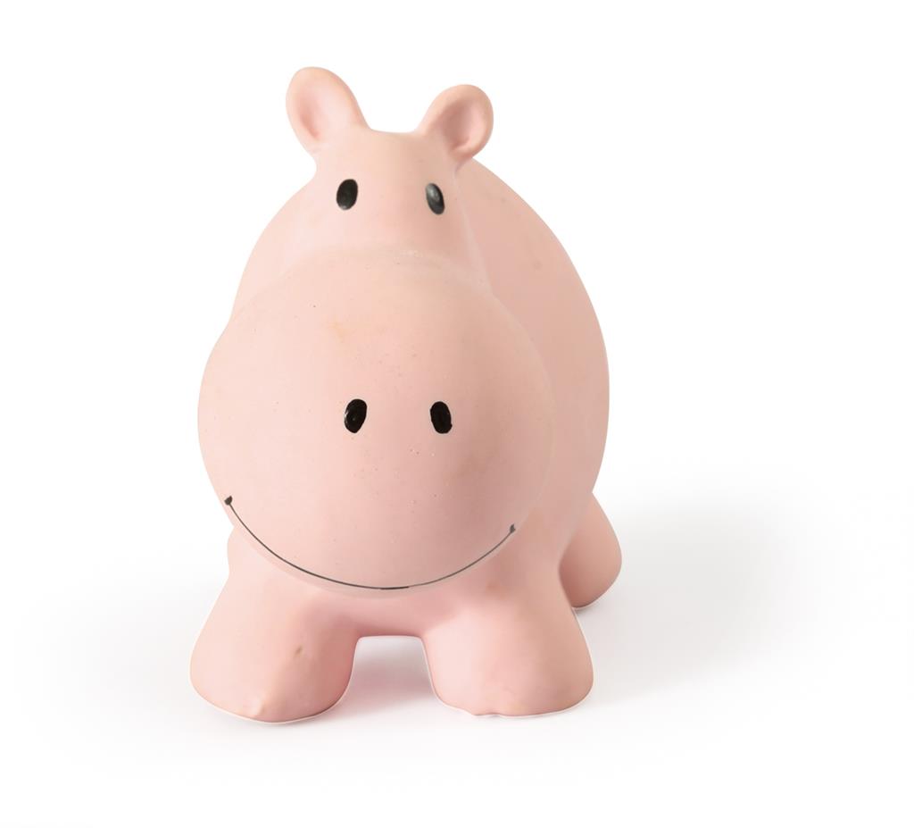 Mijn Eerste Zoodiertje Hippo, Tikiri