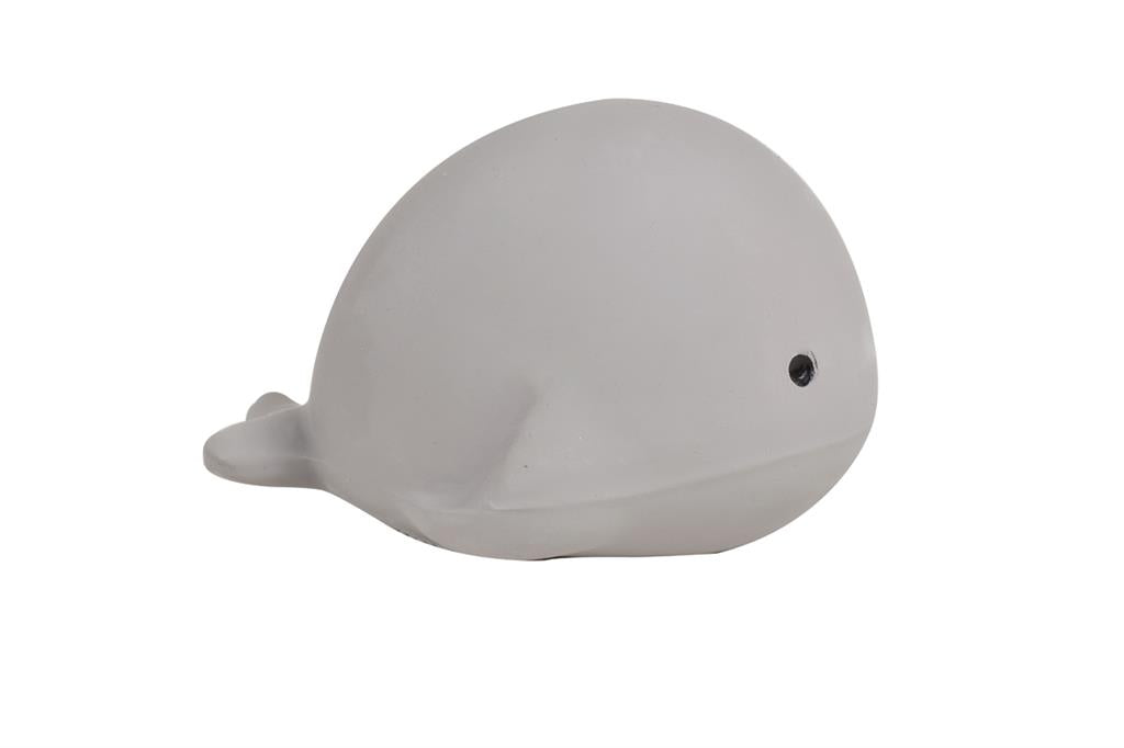 Mijn Eerste Oceaandiertje Walvis, Tikiri