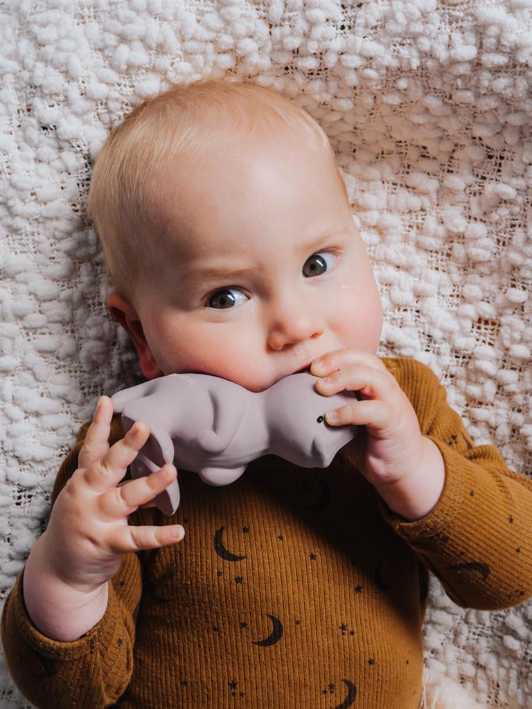 Mijn Eerste Dinosaurus Para, Tikiri
