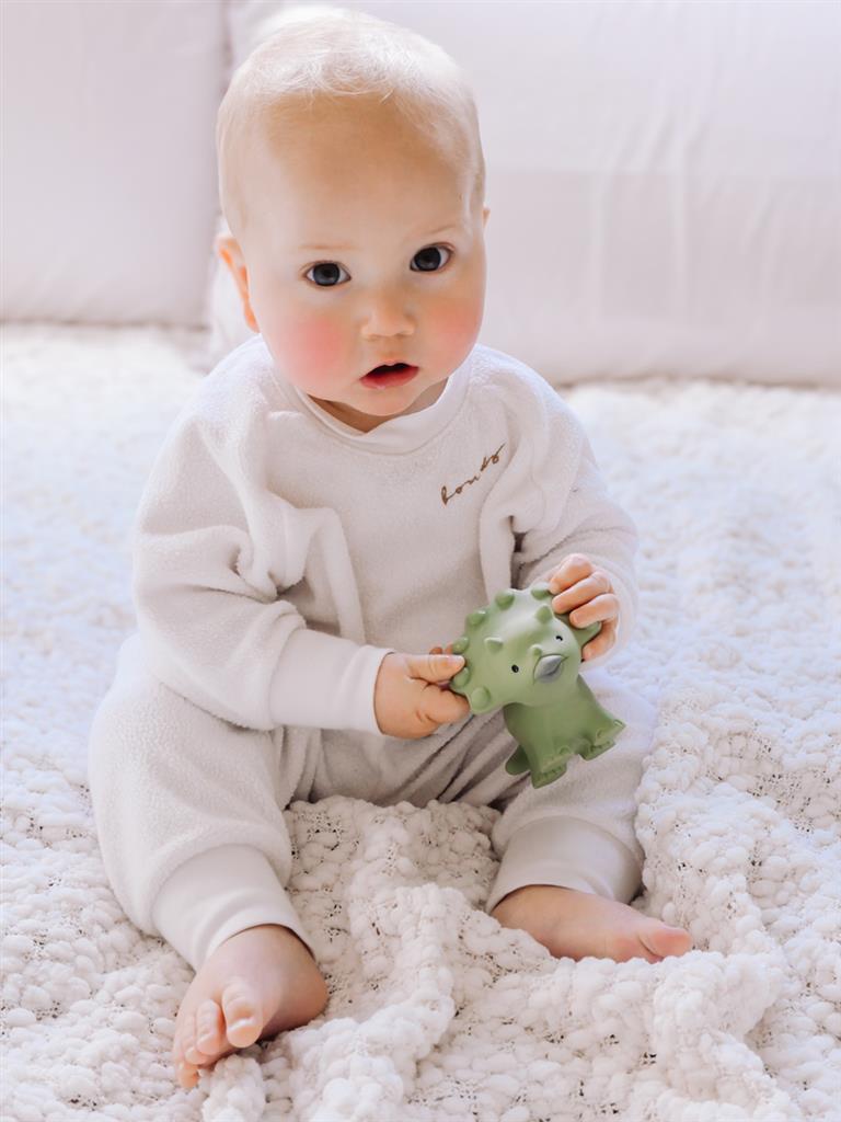 Mijn Eerste Dinosaurus Trice, Tikiri