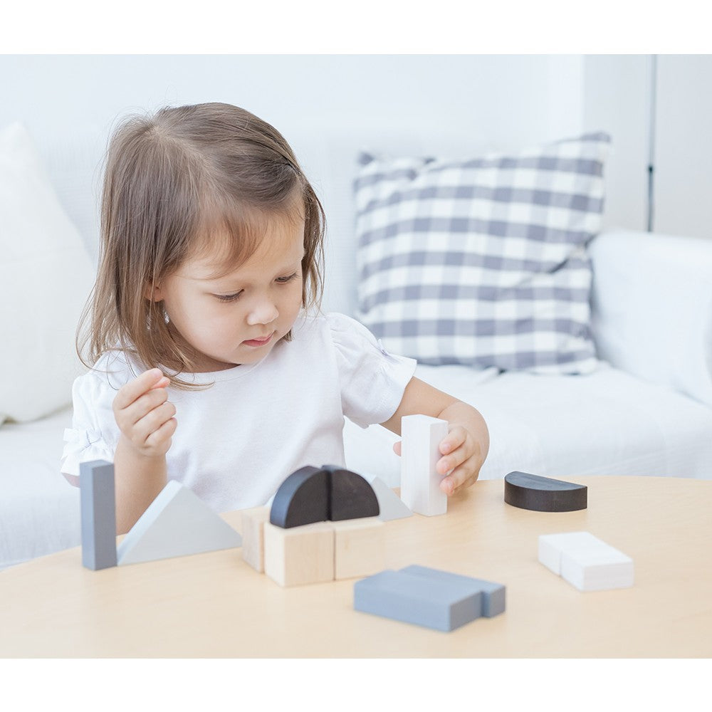Fraction blokken, Plan Toys