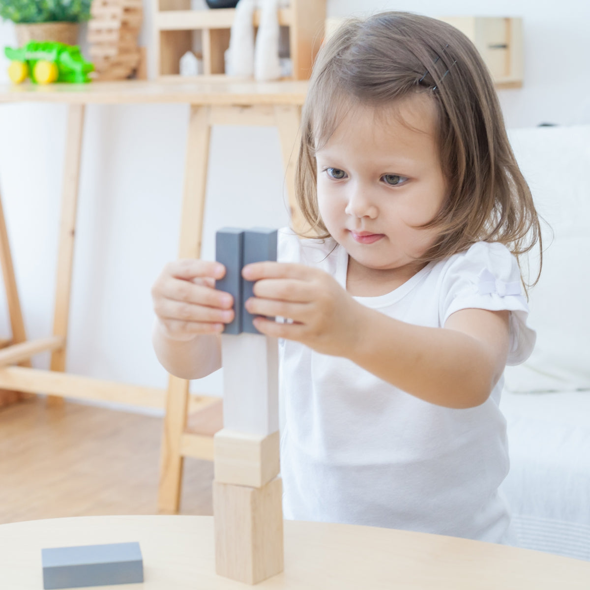 Fraction blokken, Plan Toys