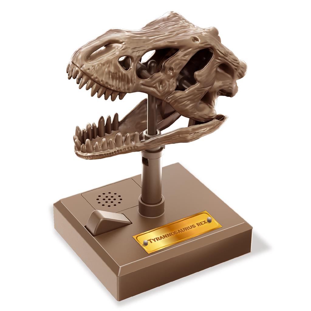 Brullende T-Rex Schedel, 4M