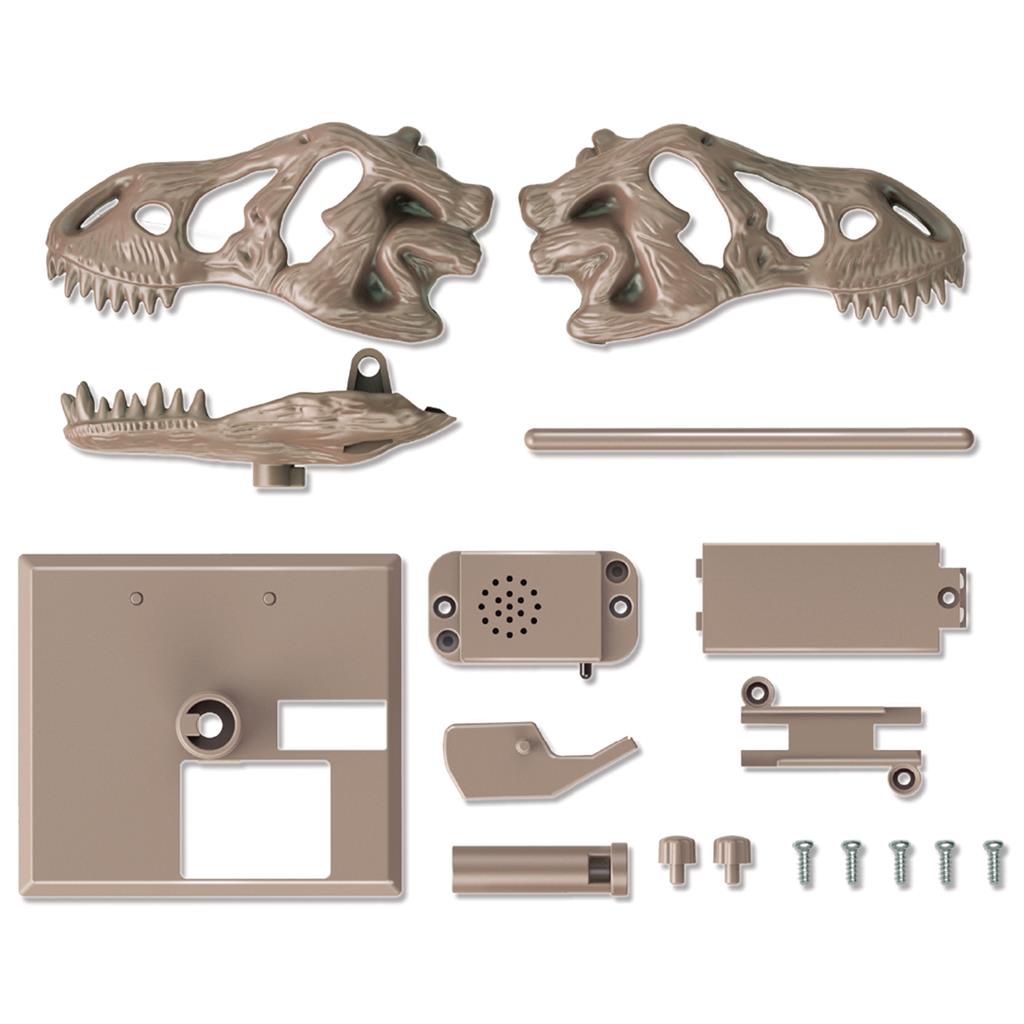 Brullende T-Rex Schedel, 4M