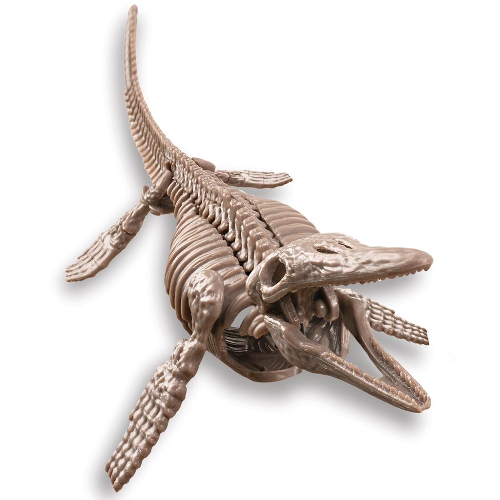 Graaf Je Dino Op - Mosasaurus, 4M