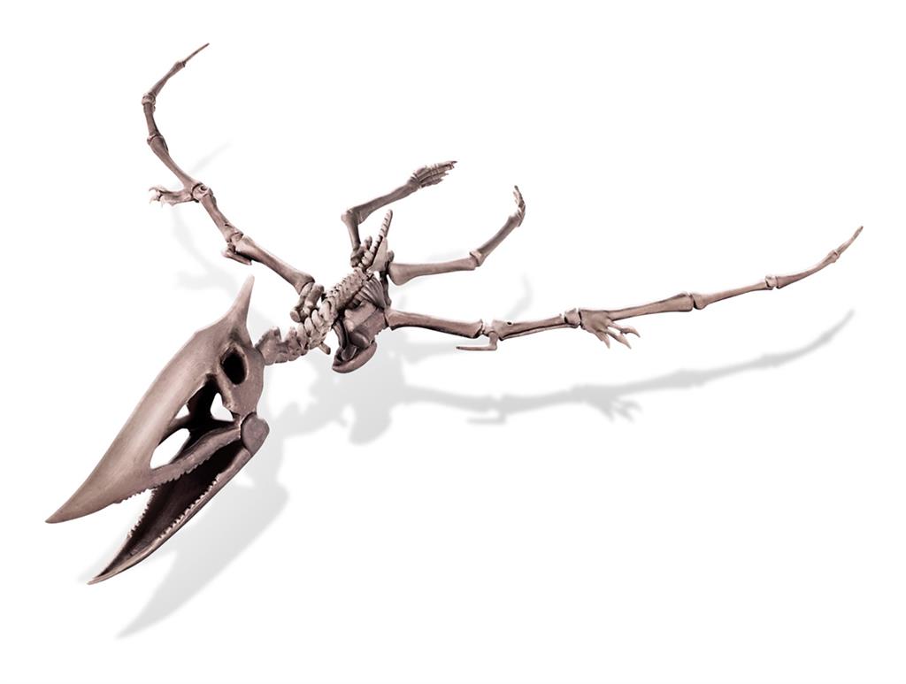 Graaf Je Dino Op - Pteranodon, 4M