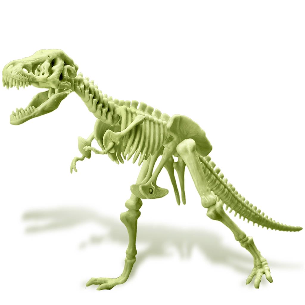 T-Rex Skelet Glow In The Dark, 4M