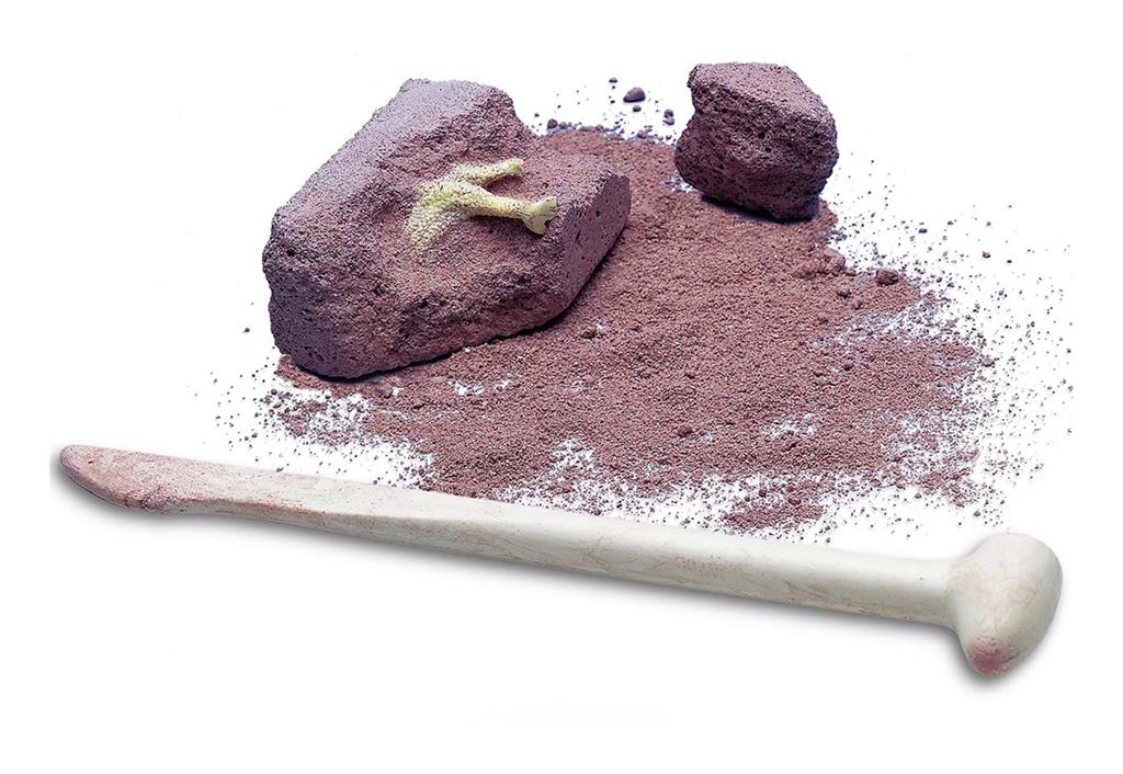 Graaf-Je-Dinosaurus-Op, 4M