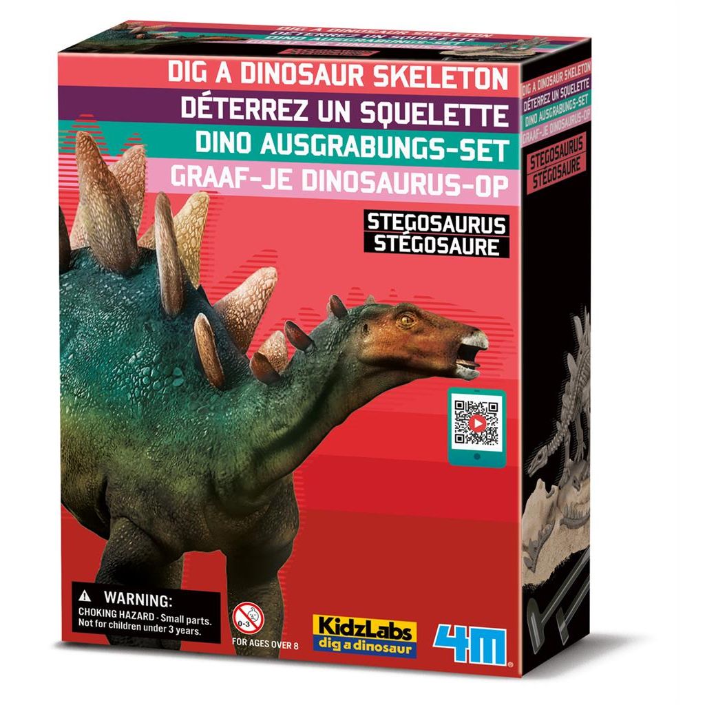 Graaf Je Dino Op - Stegosaurus, 4M